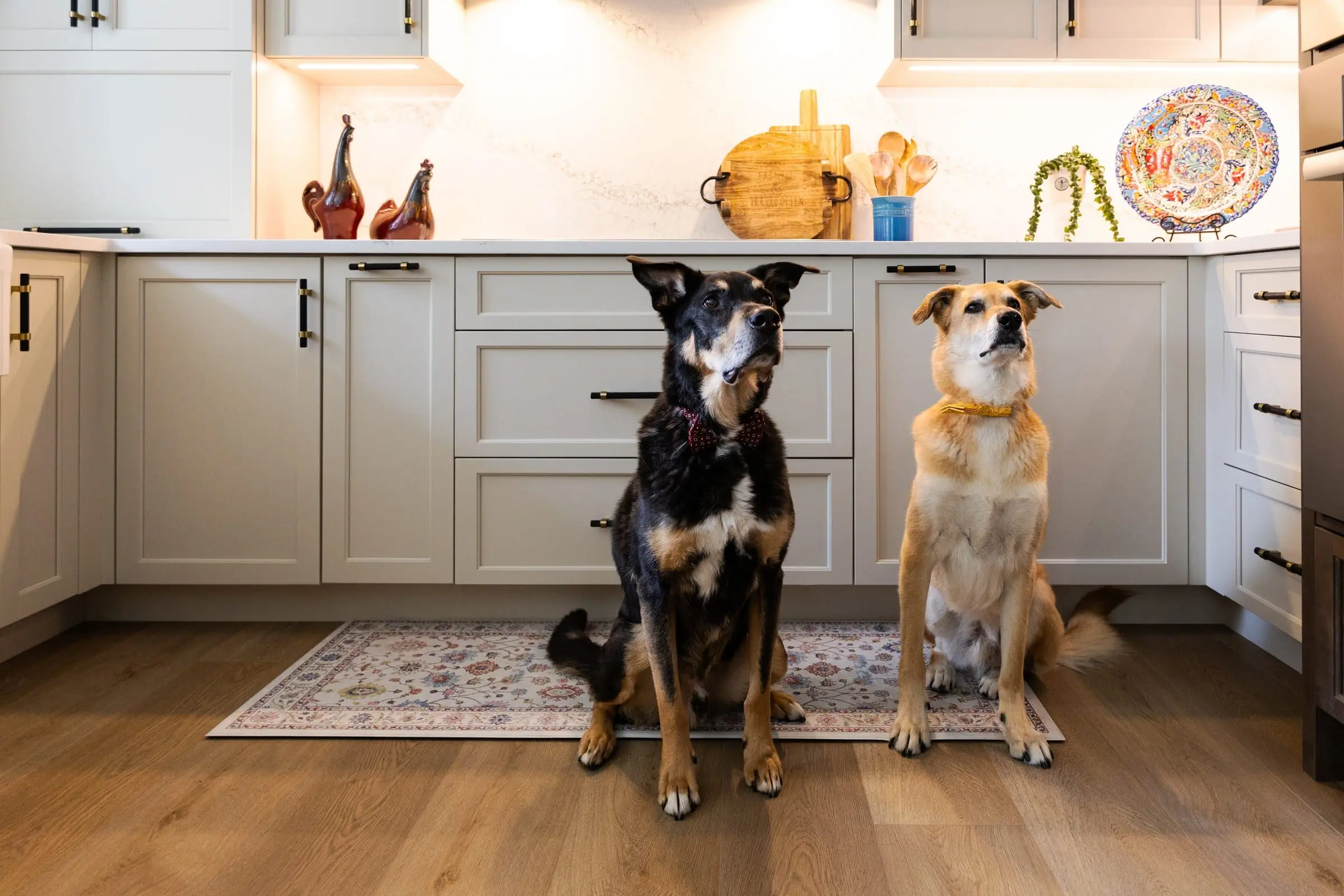 Italiano Bellissima Kitchen — photograph 16