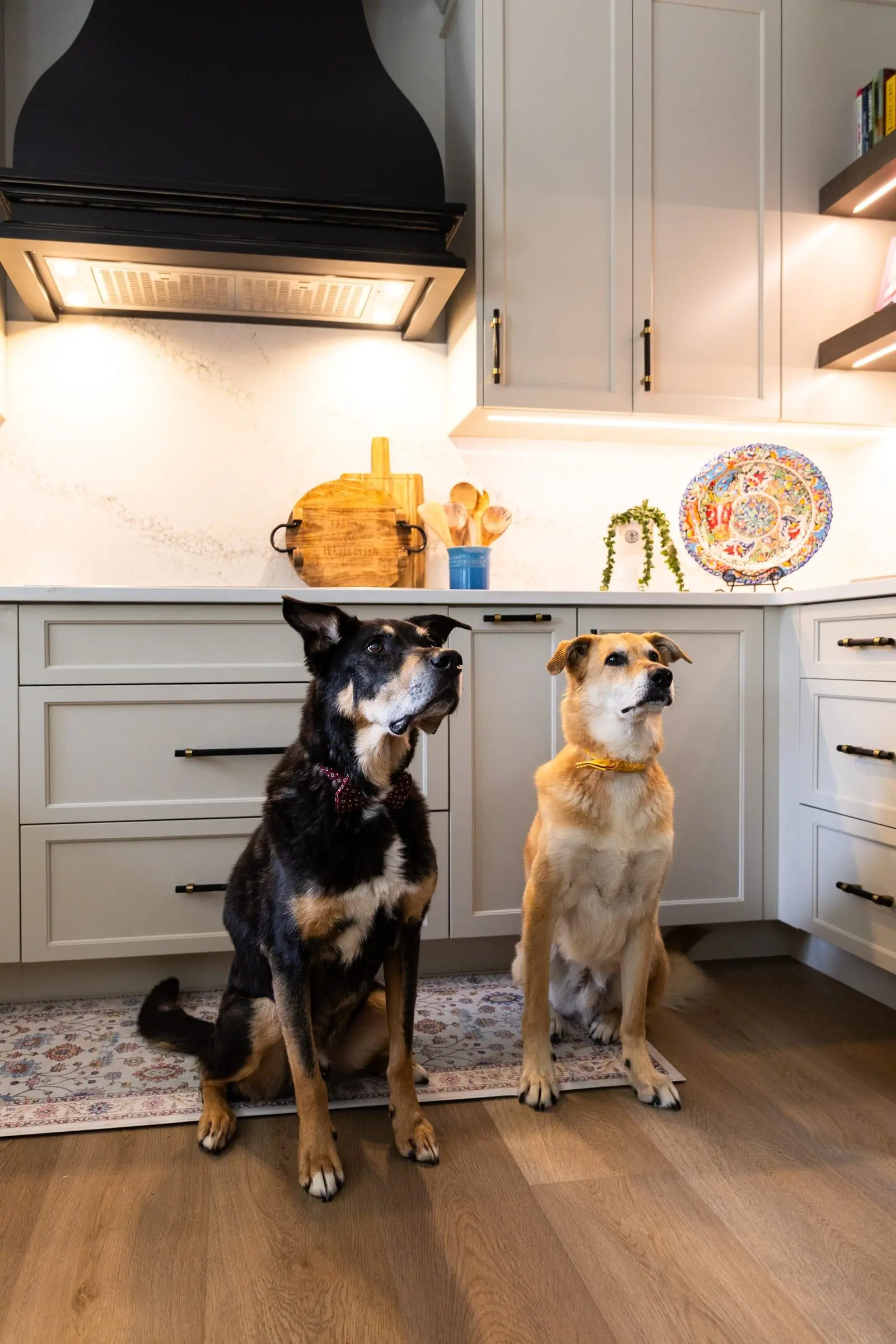 Italiano Bellissima Kitchen — photograph 19